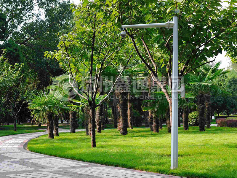 DJG-022，電子警察桿，八棱懸臂球機桿